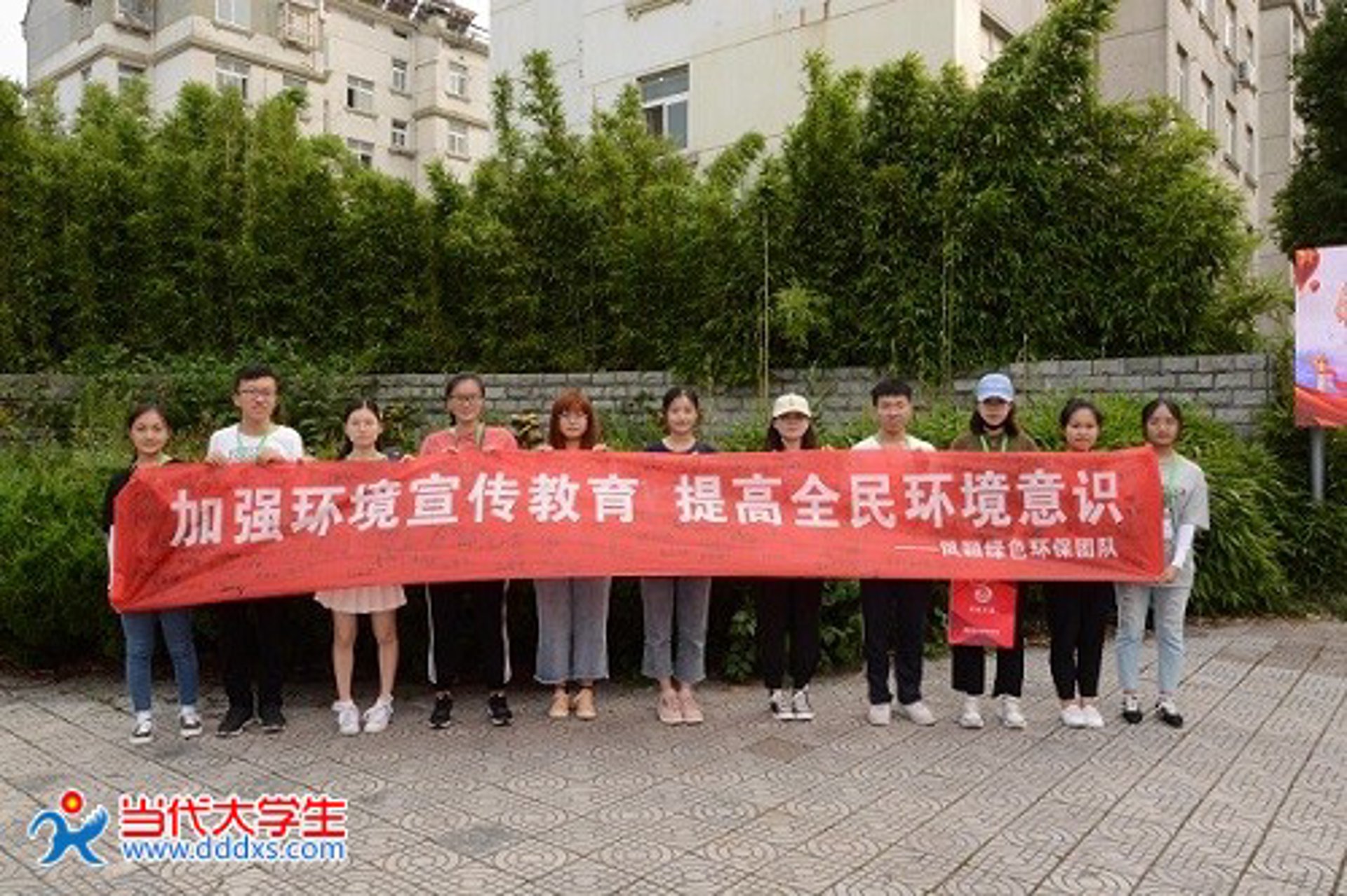 IT培训：从初学者到高手的阶梯